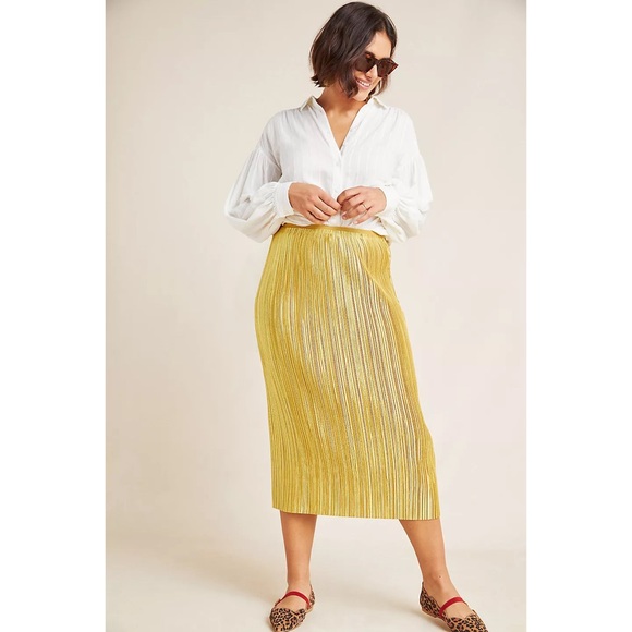 Anthropologie Dresses & Skirts - 🛍 NWT Anthropologie Domi Midi Skirt